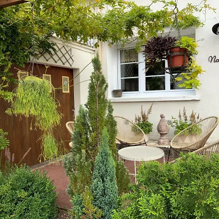 Guest House 