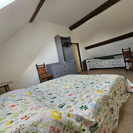 Guest House 