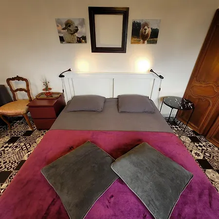 Guest House 