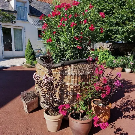 Guest House 